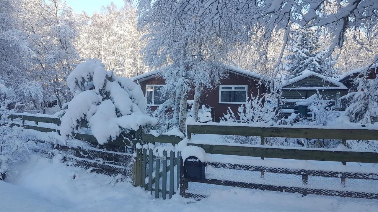 Torcroft Lodges Drumnadrochit Exterior foto